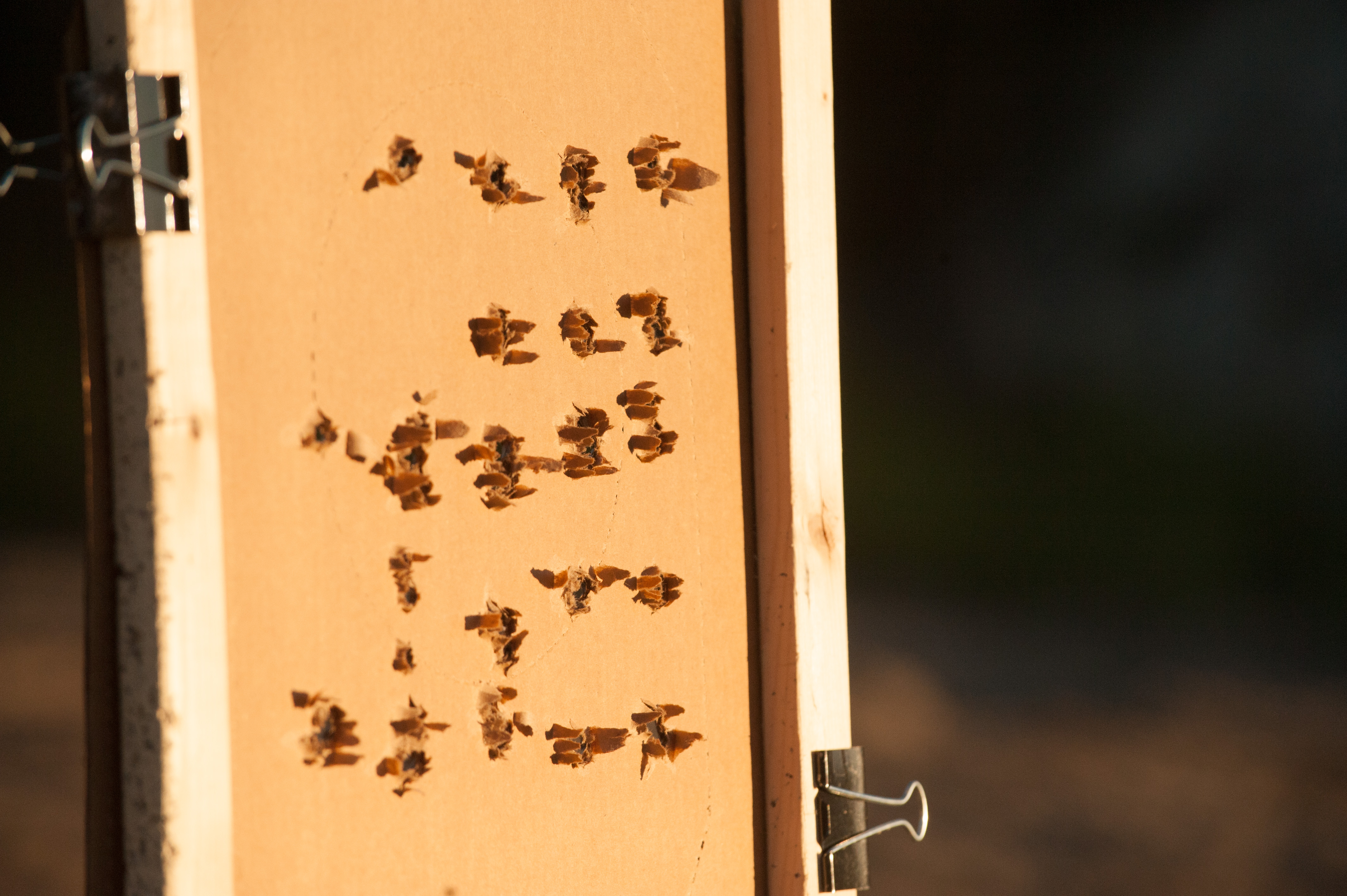 1190 USS Agency ranch shooting  ArtzPhoto 11212016